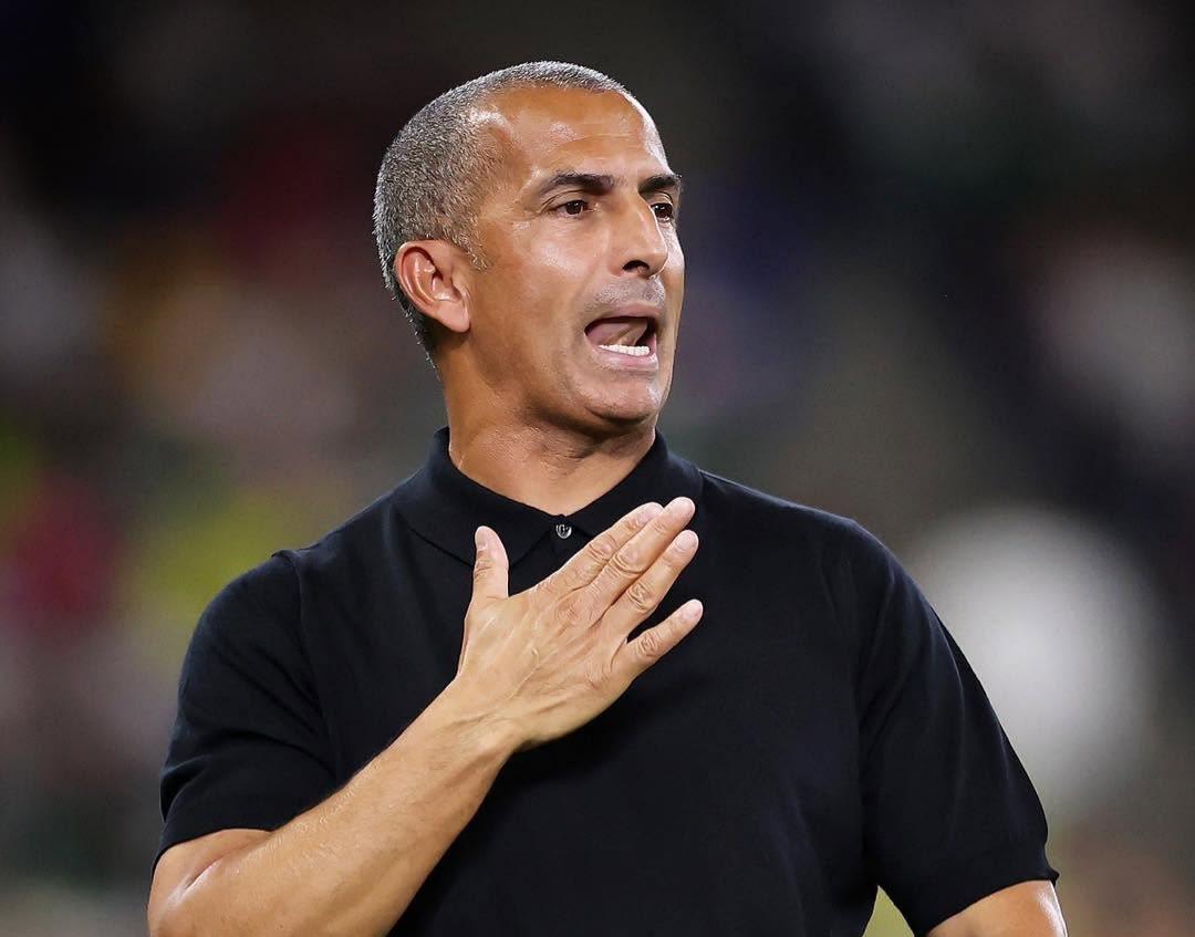 Tunisia Sack Sabri Lamouchi After Heavy Sweden Defeat